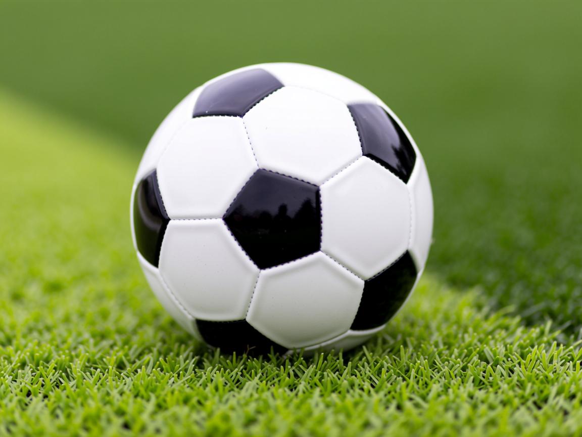 爱游戏官网充值-欧洲杯预选赛开打，各队展现绝技  第3张