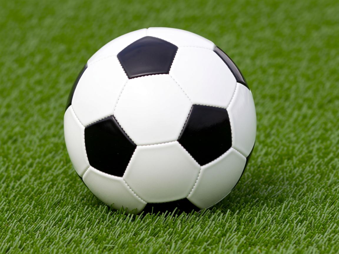 爱游戏体育入口-体育教育本科专业调整课程结构更重实践,大学本科体育教育专业主要课程 第2张