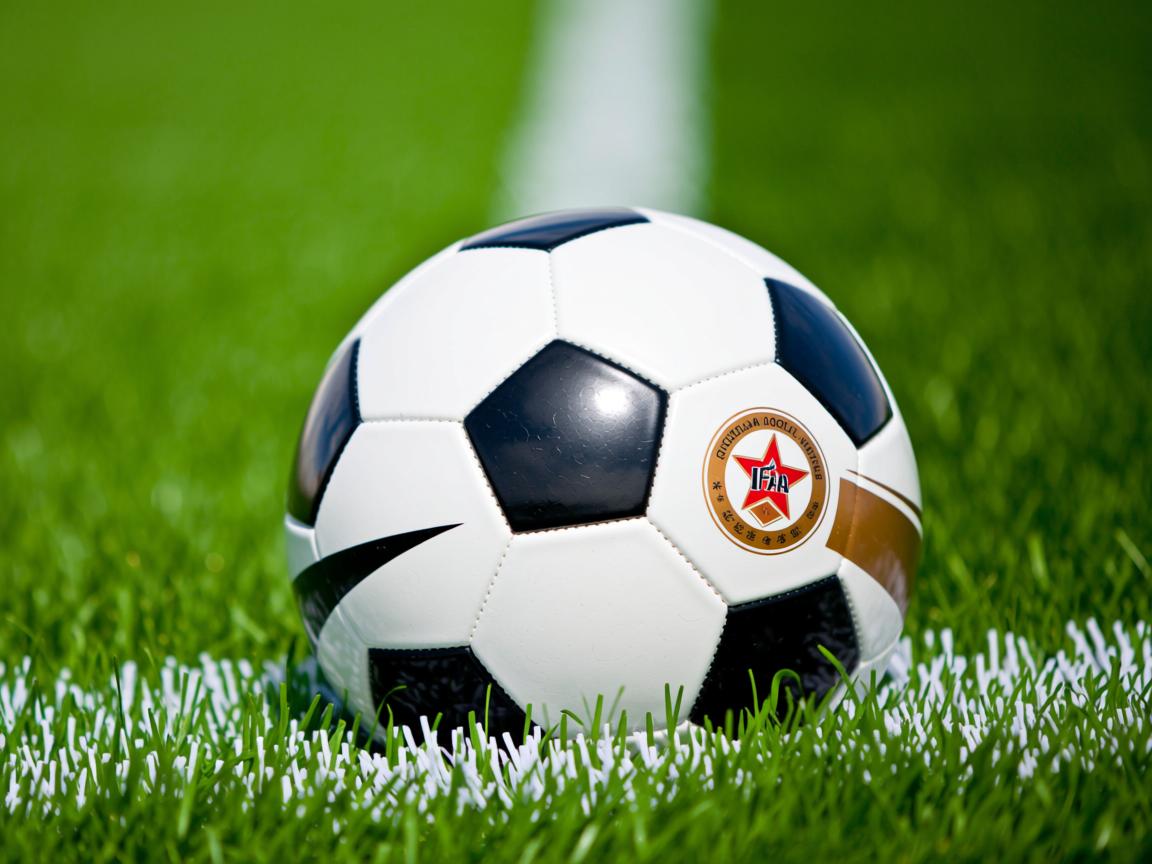 爱游戏-技术节奏图显示蛙泳冠军控制完美，蛙泳冠军视频欣赏  第2张