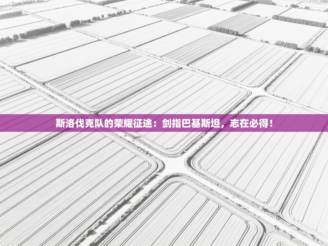 斯洛伐克队的荣耀征途：剑指巴基斯坦，志在必得！  第2张